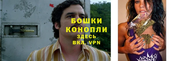 spice Гусев