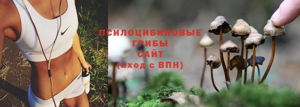 дурь Козельск