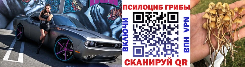 Псилоцибиновые грибы ЛСД  закладка  Заозёрск 